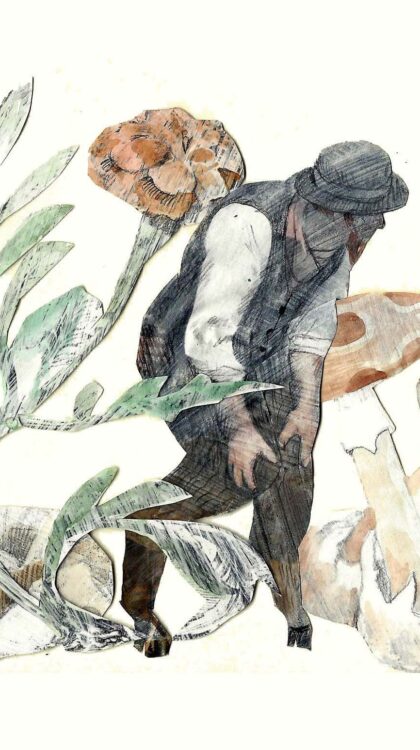 couverture balsamine