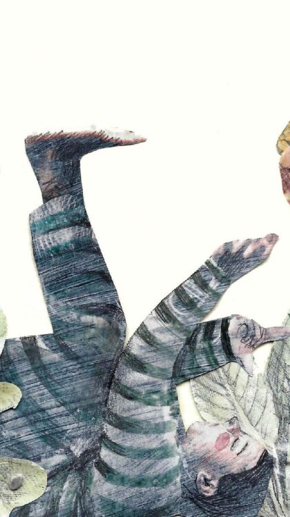 couverture balsamine