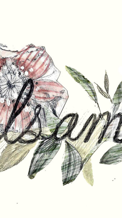 couverture balsamine