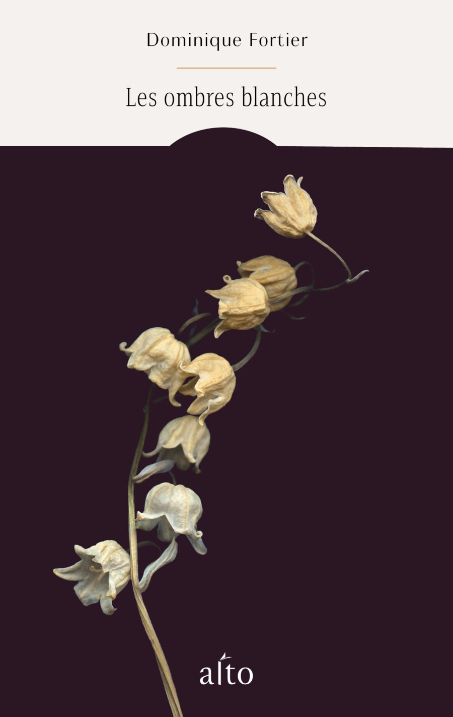 Les ombres blanches couverture de Raoul et Simone