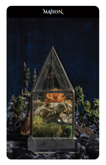 Clairvoyantes - Maison