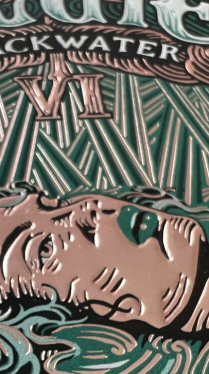 Couverture Blacwater VI de McDowell